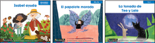 Newmark Spanish Decodables for 1st Grade