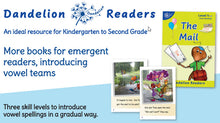 Phonic Books Dandelion Readers Vowel Spellings Level 1 The Mail